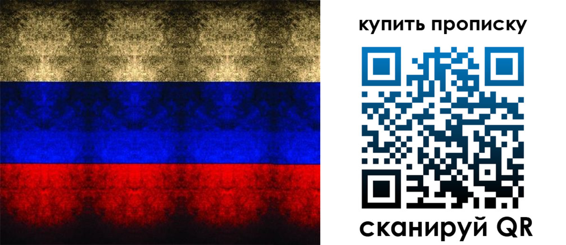 прописка в Петропавловске-Камчатском